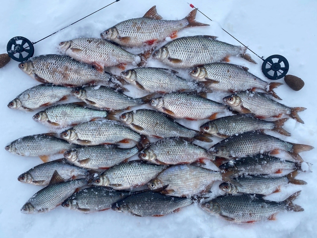 Погода в рыбное рыбинского красноярского